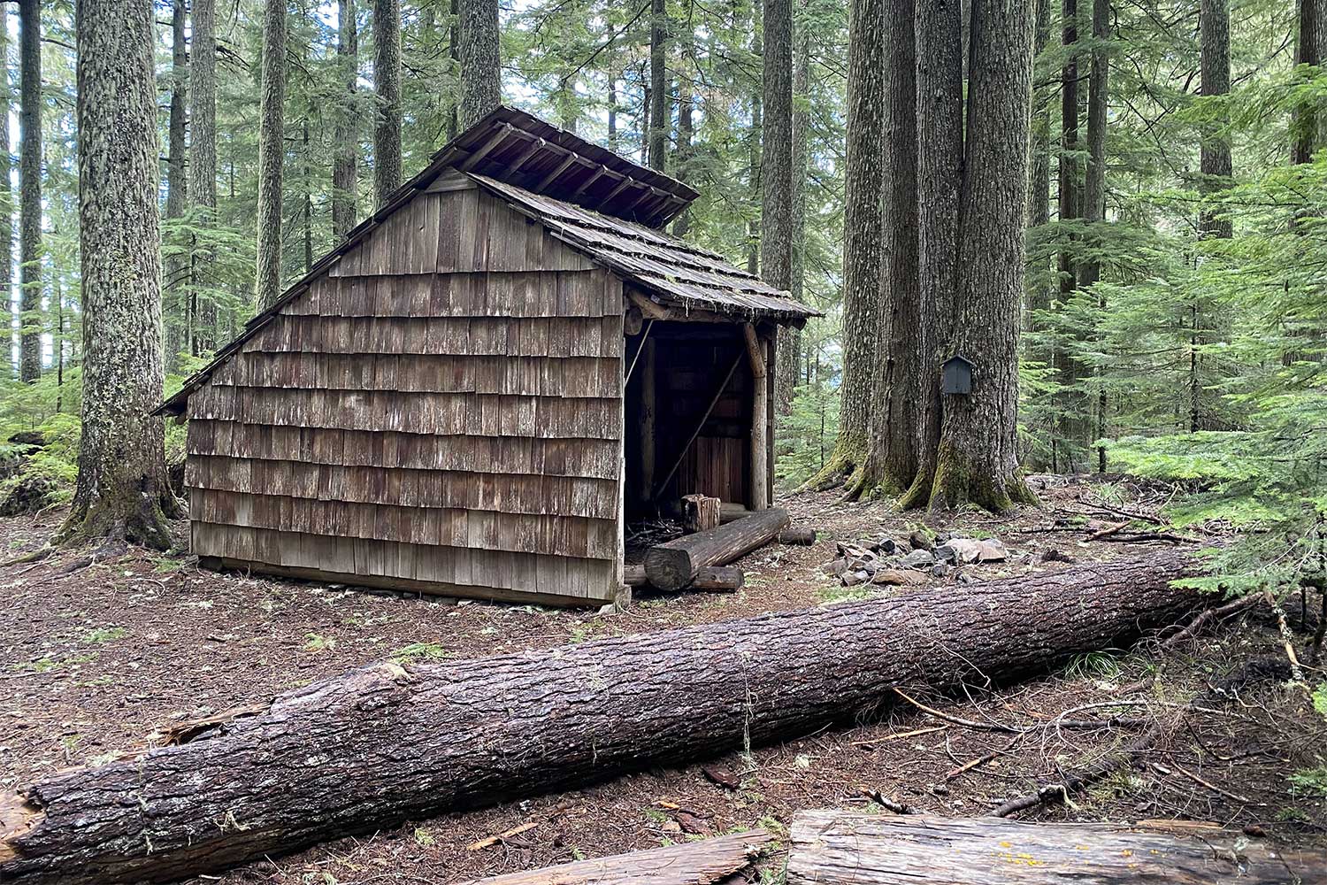 20240703outdoors-Patterson-Mountain-Lone-Wolf-Shelter