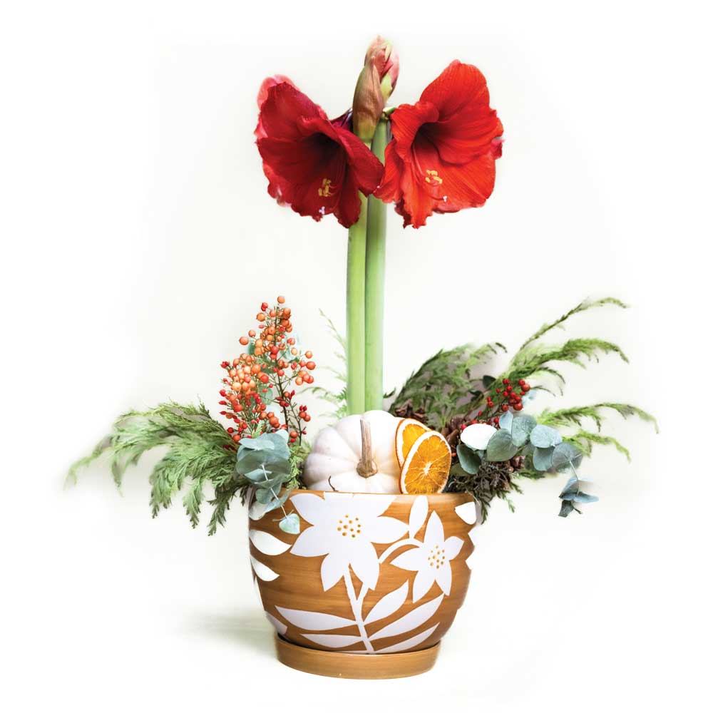PassionFlowerPlanter-6870-on-white